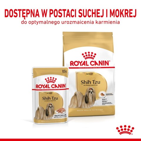 ROYAL CANIN BHN Shih Tzu Adult w formie pasztetu - mokra karma dla psa dorosłego - 12x85g