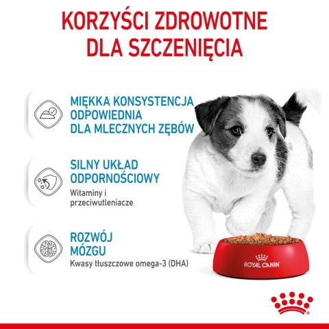 ROYAL CANIN SHN Mini Puppy w sosie - mokra karma dla szczeniąt - 12X85 g