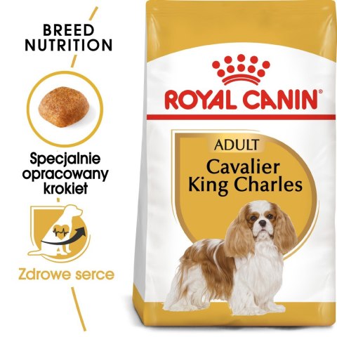 ROYAL CANIN BHN Cavalier King Charles Spaniel Adult - sucha karma dla psa dorosłego - 1,5kg