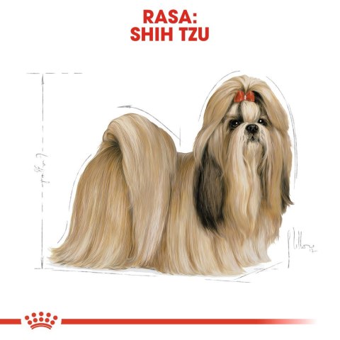 ROYAL CANIN BHN Shih Tzu Adult - sucha karma dla psa dorosłego - 7,5kg