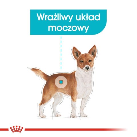 ROYAL CANIN Mini Urinary Care CCN - sucha karma dla psa - 3kg