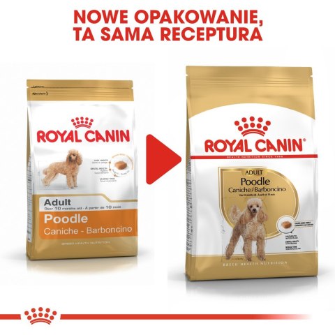 ROYAL CANIN Poodle 1,5kg