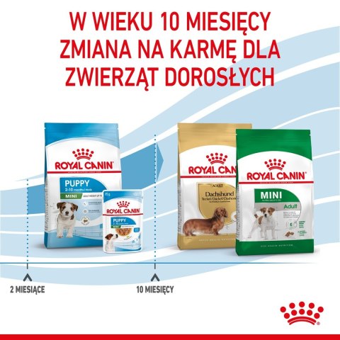 ROYAL CANIN Puppy Mini SHN - sucha karma dla szczeniąt - 2 kg