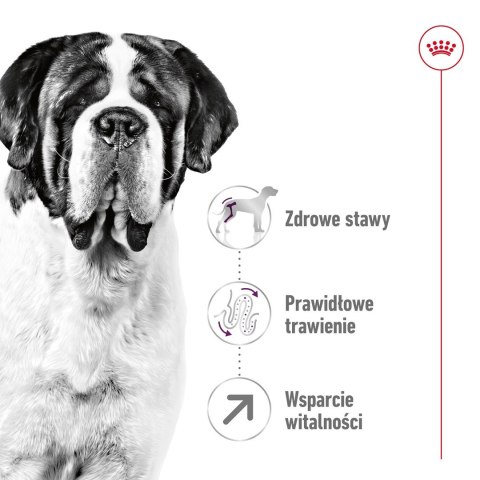 ROYAL CANIN SHN Giant Adult - sucha karma dla psa dorosłego - 15 kg