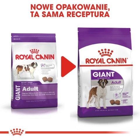 ROYAL CANIN SHN Giant Adult - sucha karma dla psa dorosłego - 15 kg