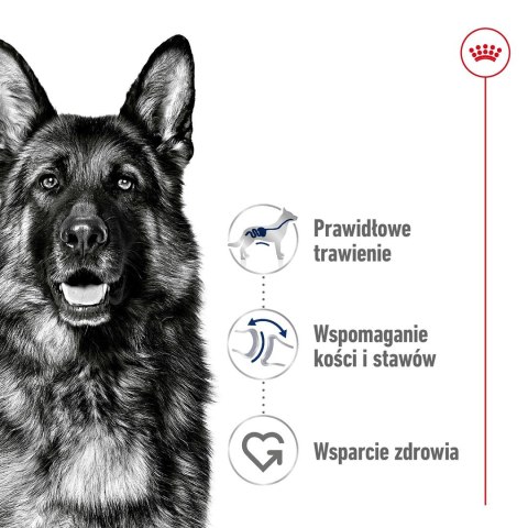 ROYAL CANIN SHN Maxi Adult - sucha karma dla psa dorosłego - 15 kg