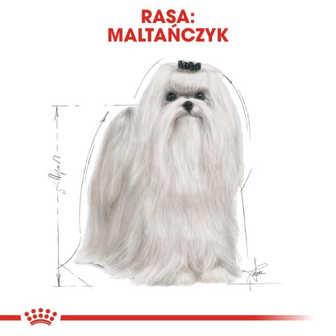 ROYAL CANIN BHN Maltese - sucha karma dla psa - 0,5kg