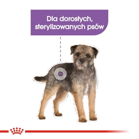 ROYAL CANIN Mini Sterilised - sucha karma dla psa - 1kg