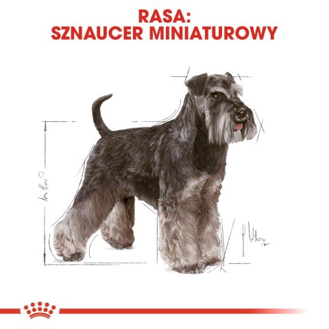 ROYAL CANIN Miniature Schnauzer - sucha karma - 7,5 kg