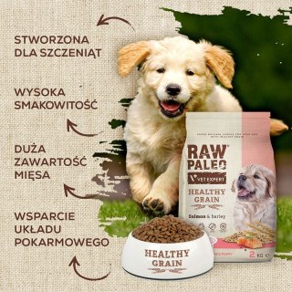 VetExpert Raw Paleo Healthy Grain Salmon&Barley Puppy - Karma sucha dla psów - 2kg