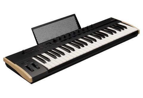 Korg KEYSTAGE 49 - Klawiatura sterująca