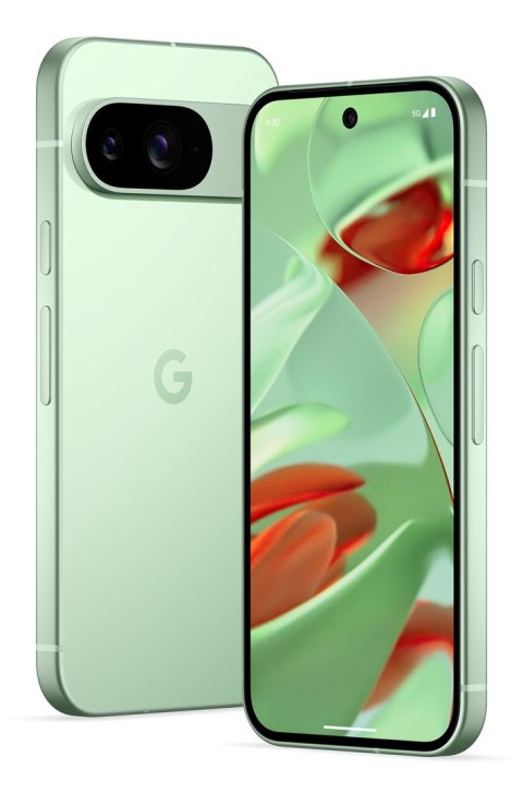 Smartfon Google Pixel 9 5G DualSIM 12/128GB Winter Green