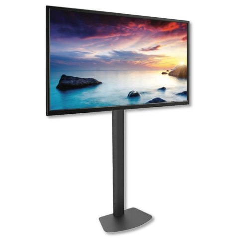 TECHLY STOJAK PODŁOGOWY TV LED/LCD 32-55 CALI 40KG