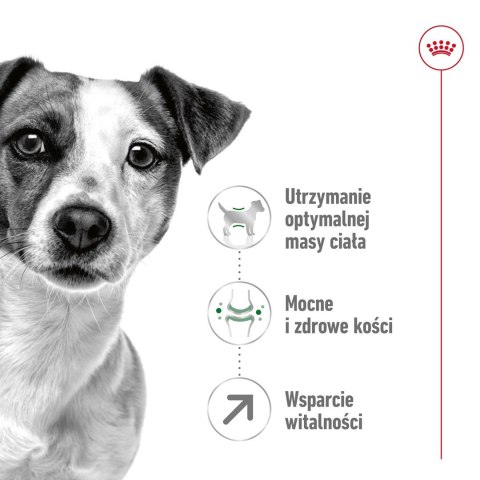 ROYAL CANIN SHN Mini Adult 8+ - sucha karma dla psa dorosłego - 8kg