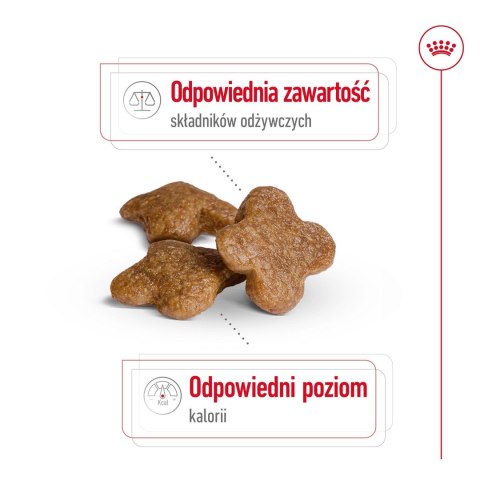 ROYAL CANIN SHN Mini Adult 8+ - sucha karma dla psa dorosłego - 8kg