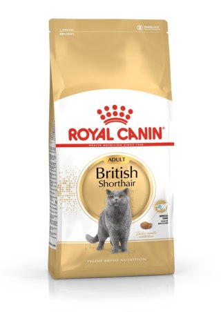 ROYAL CANIN FBN British Shorthair Adult - sucha karma dla dorosłego kota - 10kg