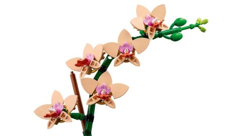 LEGO BOTANICALS 10343 Mała orchidea