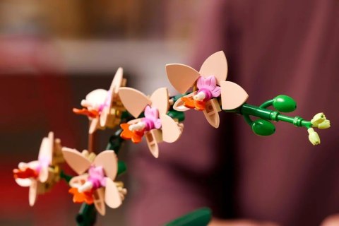 LEGO BOTANICALS 10343 Mała orchidea