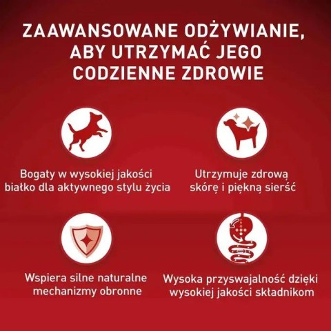 Purina ONE MINI Dog Active GiG wołowina, ziem. 85g