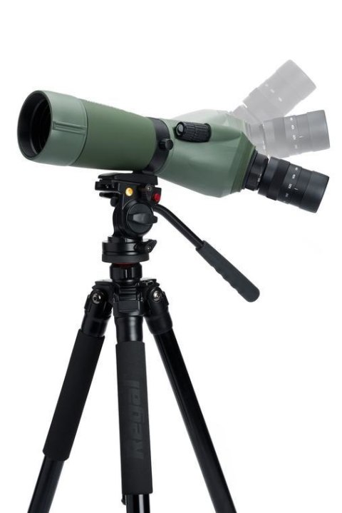 Celestron Regal M2 65ED luneta 48x BaK-4 Czarny, Zielony