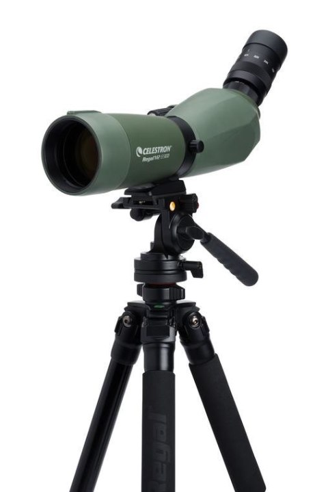 Celestron Regal M2 65ED luneta 48x BaK-4 Czarny, Zielony