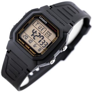 ZEGAREK MĘSKI CASIO W-800HG-9AVDF KLASYKA + BOX