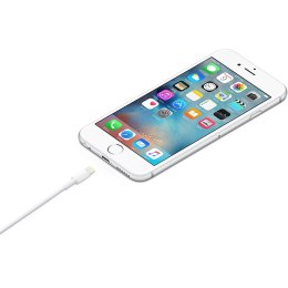 Apple Lightning to USB Cable (1m) Apple