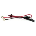 EVERACTIVE PROSTOWNIK SAMOCHODOWY AUTOMATYCZNY DO AKUMULATORA 6V/12V CBC5