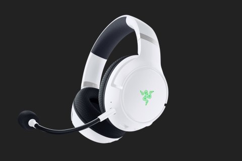 Razer Kaira Pro Headset