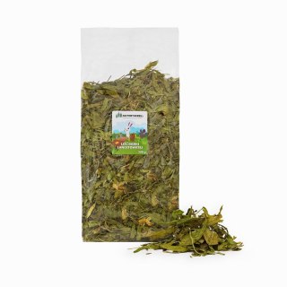 FACTORYHERBS Liść babki lancetowatej XL 300 g