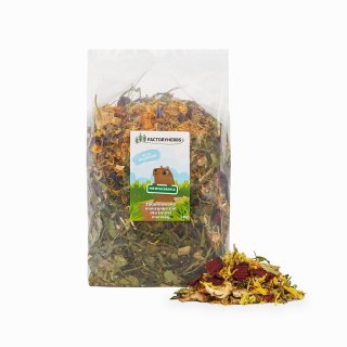 FACTORYHERBS NIE BYLE BADYLE dla Świnki Morskiej 1kg