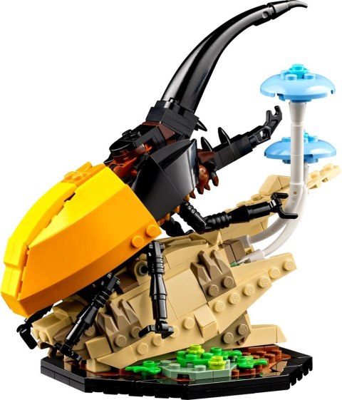 LEGO Ideas 21342 Kolekcja owadów