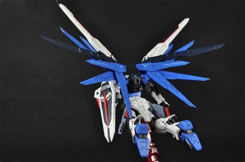 RG 1/144 FREEDOM GUNDAM