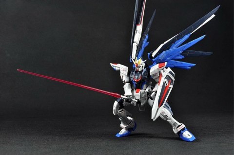 RG 1/144 FREEDOM GUNDAM