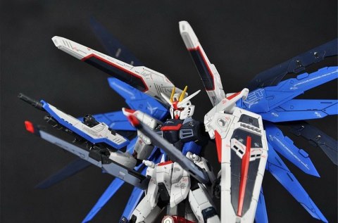 RG 1/144 FREEDOM GUNDAM