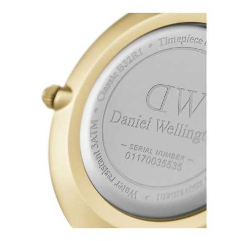 ZEGAREK DAMSKI DANIEL WELLINGTON DW00100347 - PETITE EVERGOLD 32mm (zw500e)