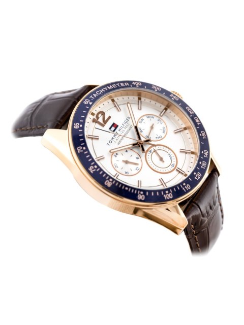 ZEGAREK MĘSKI TOMMY HILFIGER 1791118 (zf066a)