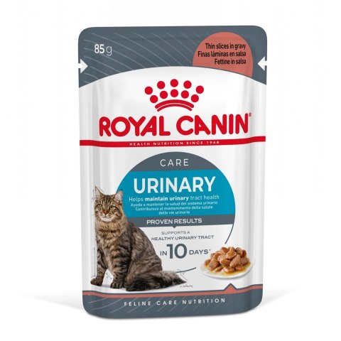 ROYAL CANIN FCN Urinary Care w sosie - mokra karma dla kota dorosłego - 12x85g