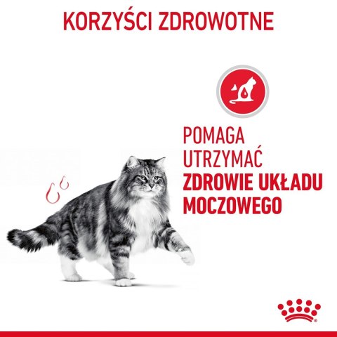 ROYAL CANIN FCN Urinary Care w sosie - mokra karma dla kota dorosłego - 12x85g