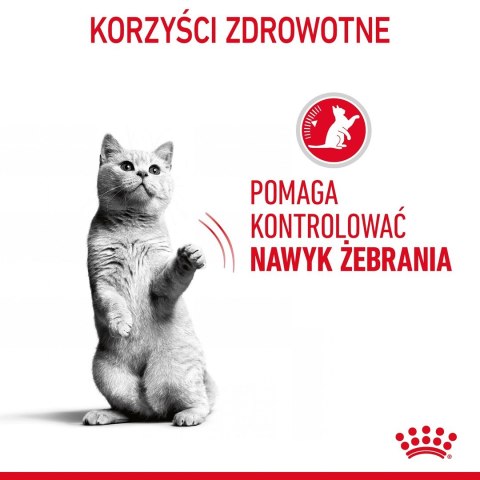 ROYAL CANIN FCN Appetite Control w sosie - mokra karma dla kota dorosłego - 12x85g