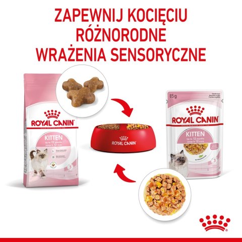 Royal Canin FHN Kitten Instinctive w galaretce - mokra karma dla kociąt - 12x85g