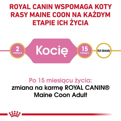 ROYAL CANIN FBN Maine Coon Kitten - sucha karma dla kociąt - 2kg