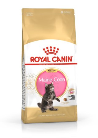 ROYAL CANIN FBN Maine Coon Kitten - sucha karma dla kociąt - 4kg