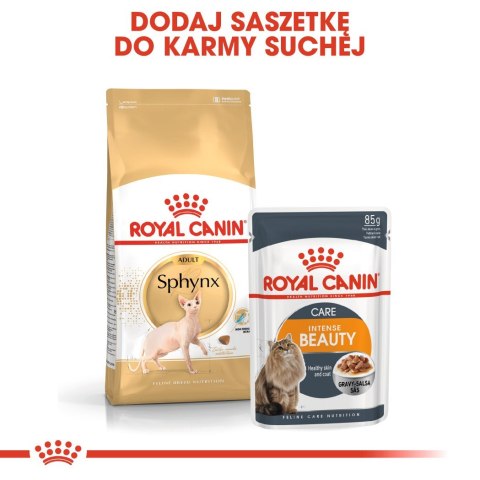 ROYAL CANIN FBN Sphynx Adult - sucha karma dla dorosłego kota - 2kg