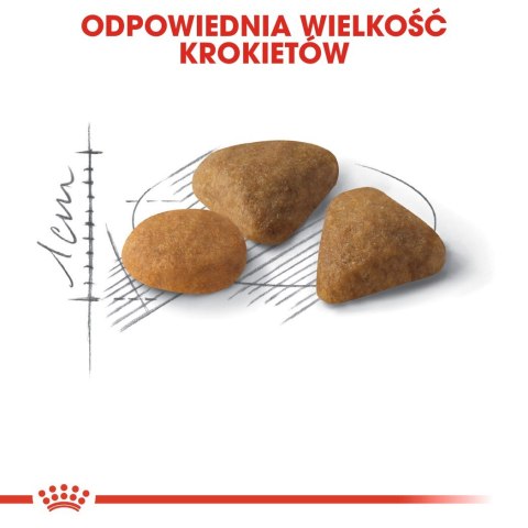 ROYAL CANIN FHN Exigent Savour Sensation - sucha karma dla kota dorosłego - 10kg