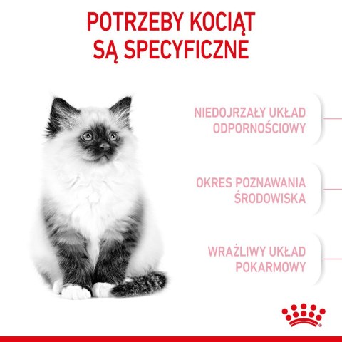 ROYAL CANIN FHN Kitten - sucha karma dla kociąt - 4kg