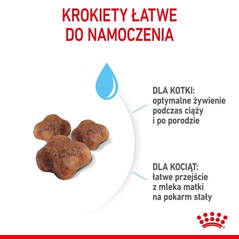 ROYAL CANIN FHN Mother&Babycat - sucha karma dla kociąt - 4kg