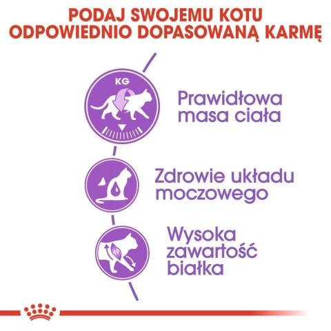 ROYAL CANIN FHN Regular Sterilised 37 - sucha karma dla kota dorosłego - 2 kg