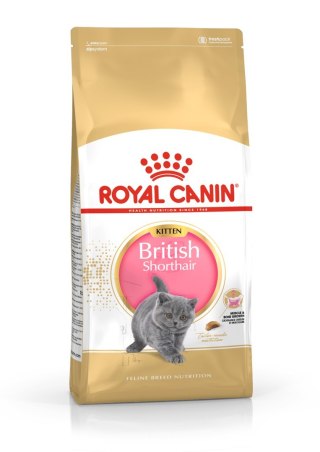 Royal Canin FBN British Shorthair Kitten - sucha karma dla kociąt - 2 kg