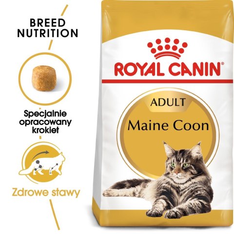 Royal Canin FBN Maine Coon Adult - sucha karma dla kota dorosłego - 4kg